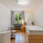 Hirschen Holl