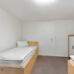 Hirschen Holl Elbenschwand